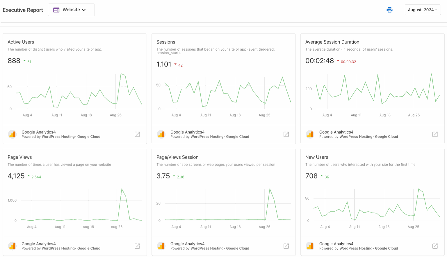 Google Analytics in the Website section