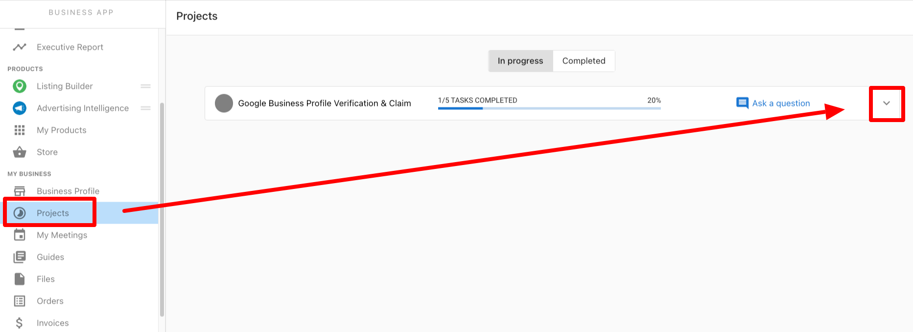 Business App Projects tab showing in-progress and completed projects
