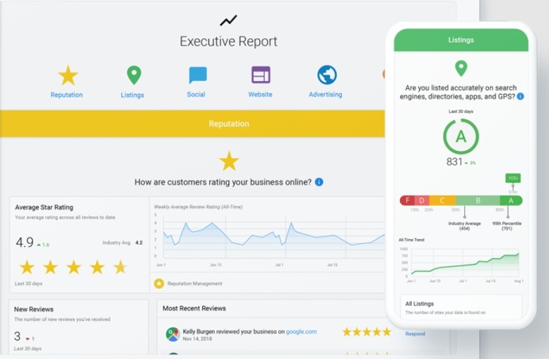 Executive Report Overview
